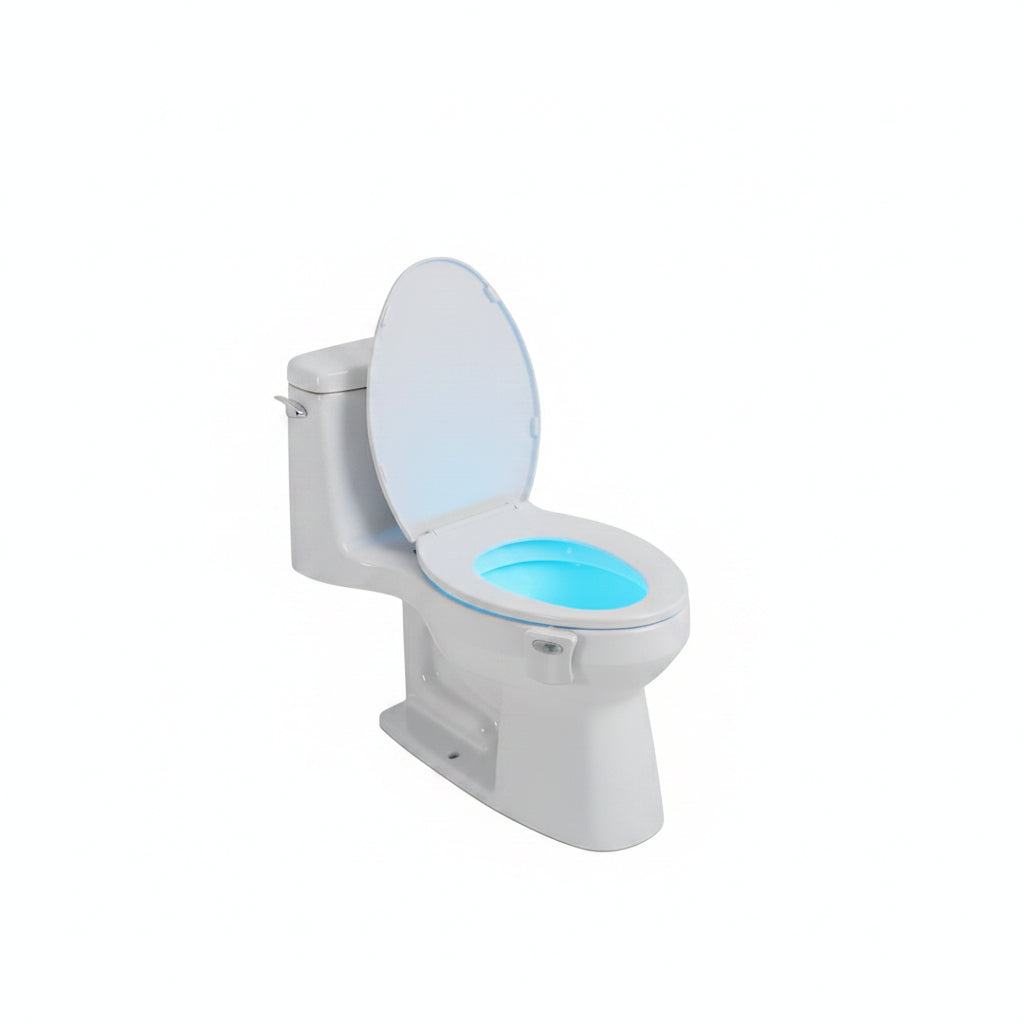 Toilet Light