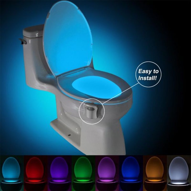 Toilet Light