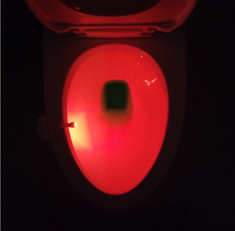 Toilet Light