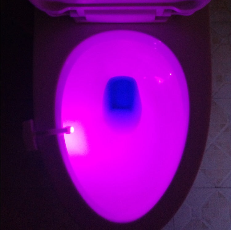 Toilet Light