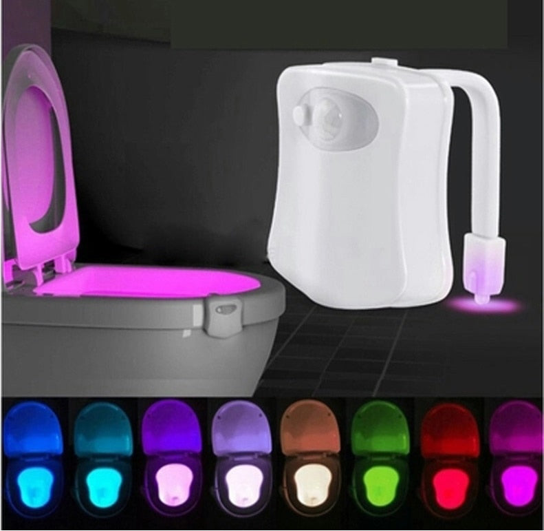 Toilet Light