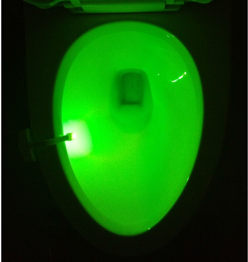 Toilet Light