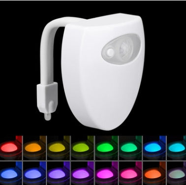 Toilet Light