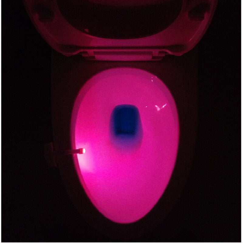Toilet Light