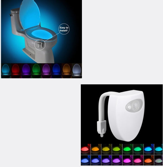 Toilet Light