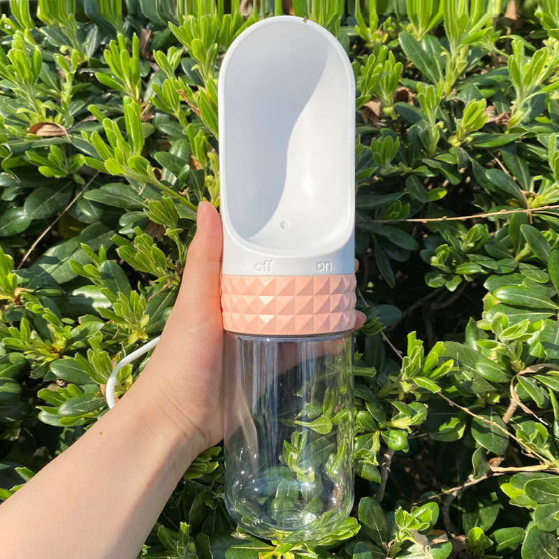 Pet Water Cup