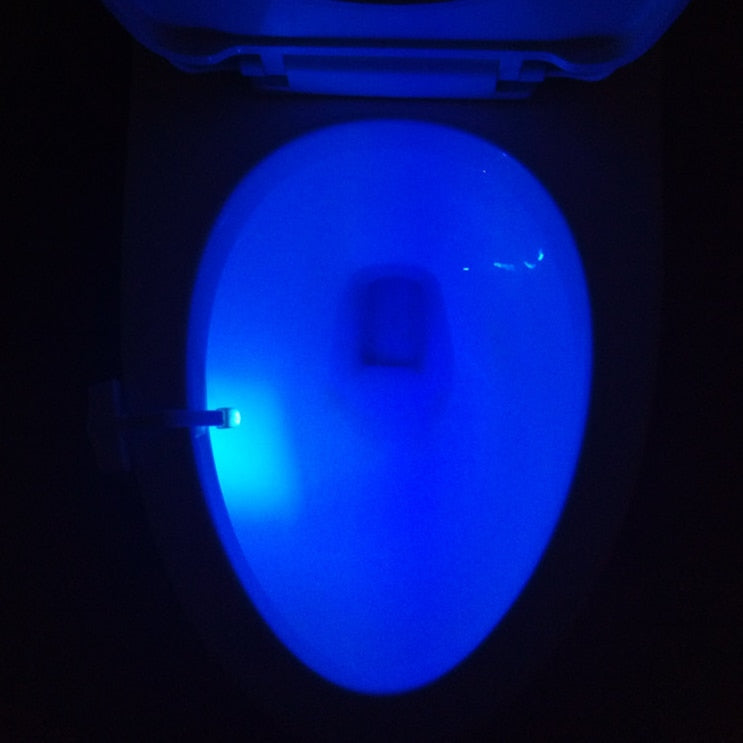 Toilet Light