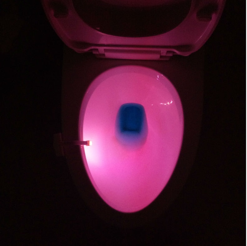 Toilet Light