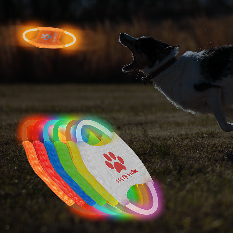 LED Dog Disc