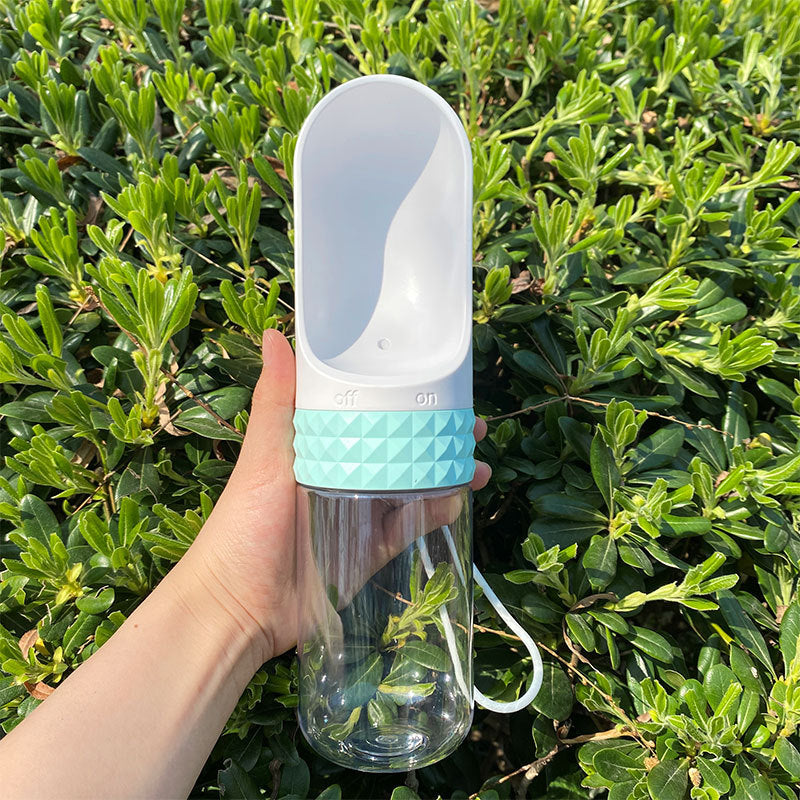 Pet Water Cup