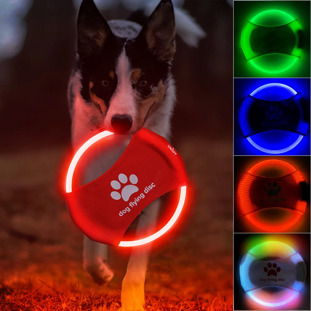 LED Dog Disc
