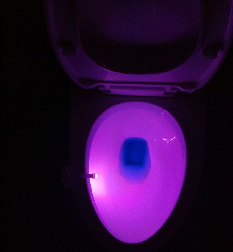 Toilet Light