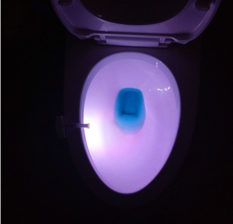 Toilet Light