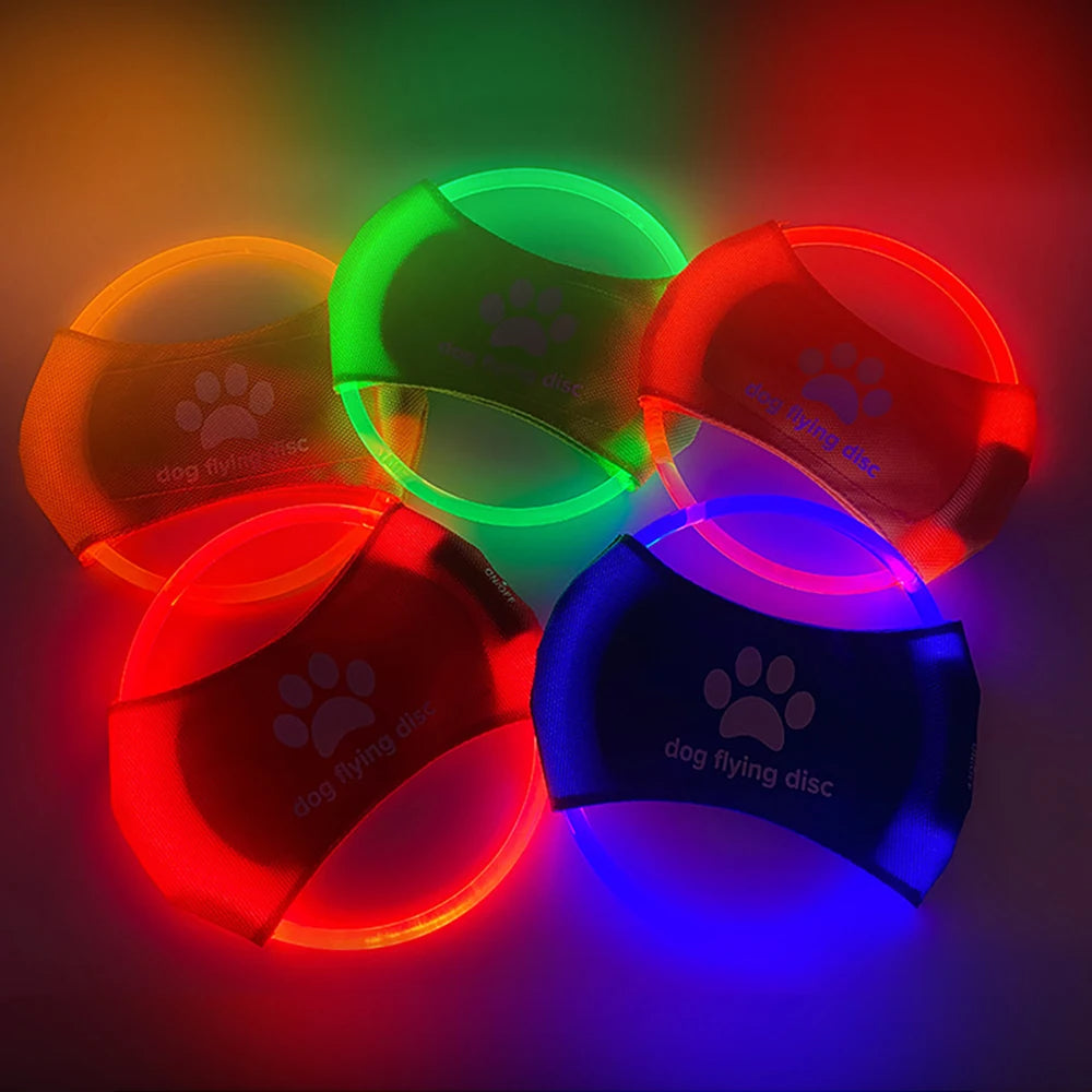 LED Dog Disc